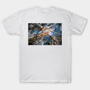 Wheat Field T-Shirt